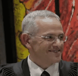 דוד מינץ חמור גרם אפילו חמור בעל מנת משכל גבוהה ממנו