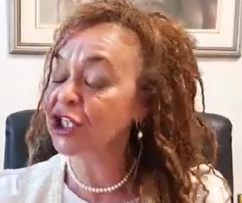 רוית בן סרוק וילוז'ני ניהלה משא ומתן עם החוטפת טל וילוז'ני