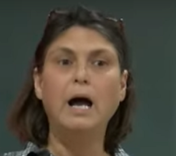 אסנת כהן ליפשיץ האויב שמבפנים פנתה לבגץ נגד הג'נוסייד על הפלסטינים בעזה