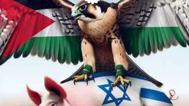 תודה גלי בהרב מיארה בזכותך ננצח סינסירלי יורס שקמה