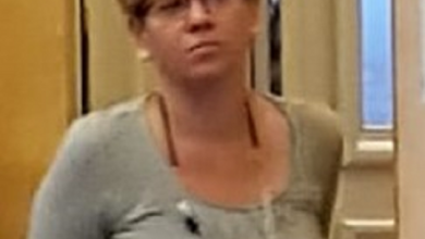 הילה טנא גלעד לסבית אלימה אם לקוסובו מגיע עצמאות גם לפלסטין מגיע