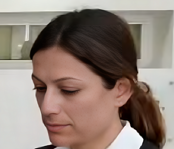 יעל שחף פרקליטה התעסקה במיניות הפלילית של פאינה קירשנבאום