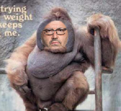 רני רהב מדגים זין של קוף בגודל של בוטן