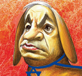 ביבי כלב