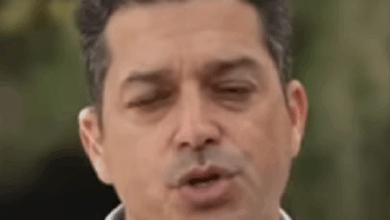 עמיחי שקלי מפחד מהפלוטילות של גרטה