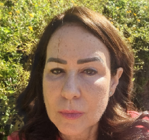 נעמי גלטשטיין מלמד ניקנקה גברים כעוס סדרי דין